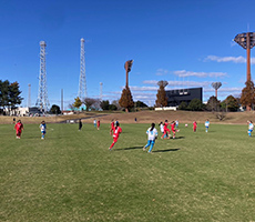 茨城県女子サッカーリーグ2部上位グループの結果